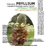 SALUTEF cáscara de psyllium ecológico sin gluten