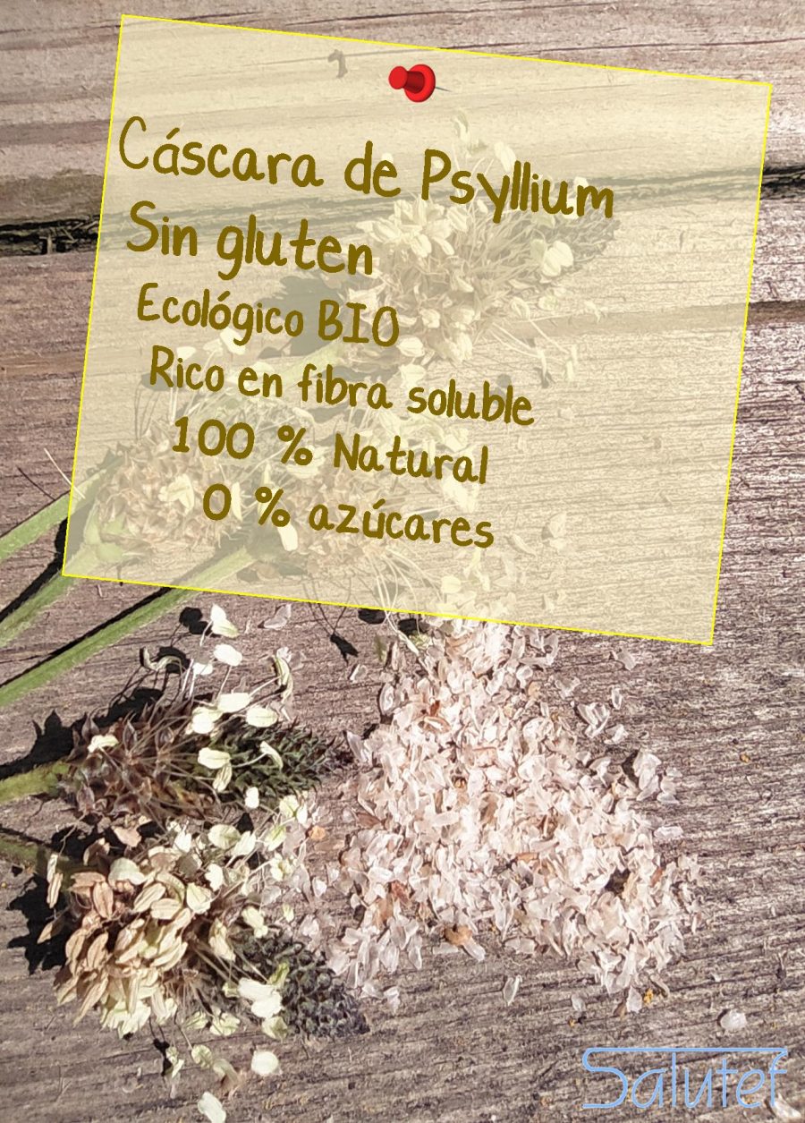 Propiedades psyllium ecológico sin gluten